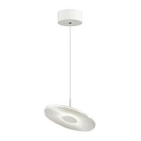 подвесной светодиодный светильник odeon light ellen 4107/12l в Иркутске