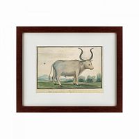 картина: cape ox, 1778 в Иркутске