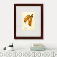 картина: watercolor collection, drawing №78, 1906 в Иркутске