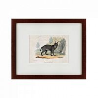 картина: a caracal or lynx, 1830 в Иркутске