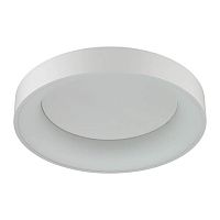 потолочный светодиодный светильник odeon light sole 4062/50cl в Иркутске