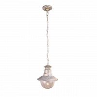 уличный подвесной светильник arte lamp amsterdam a1523so-1wg в Иркутске