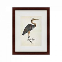 картина: heron (литография), 1822 в Иркутске