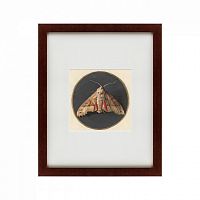картина: owlet moth, 1700 в Иркутске